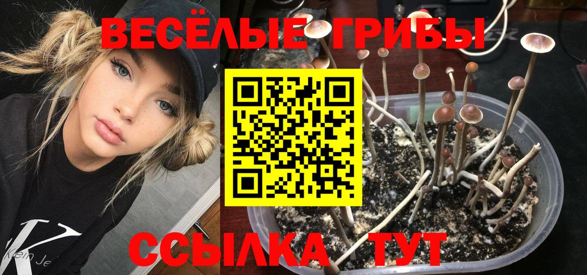 Псилоцибиновые грибы ЛСД  Псилоцибиновые грибы Magic Shrooms  Трёхгорный  Вход с VPN 