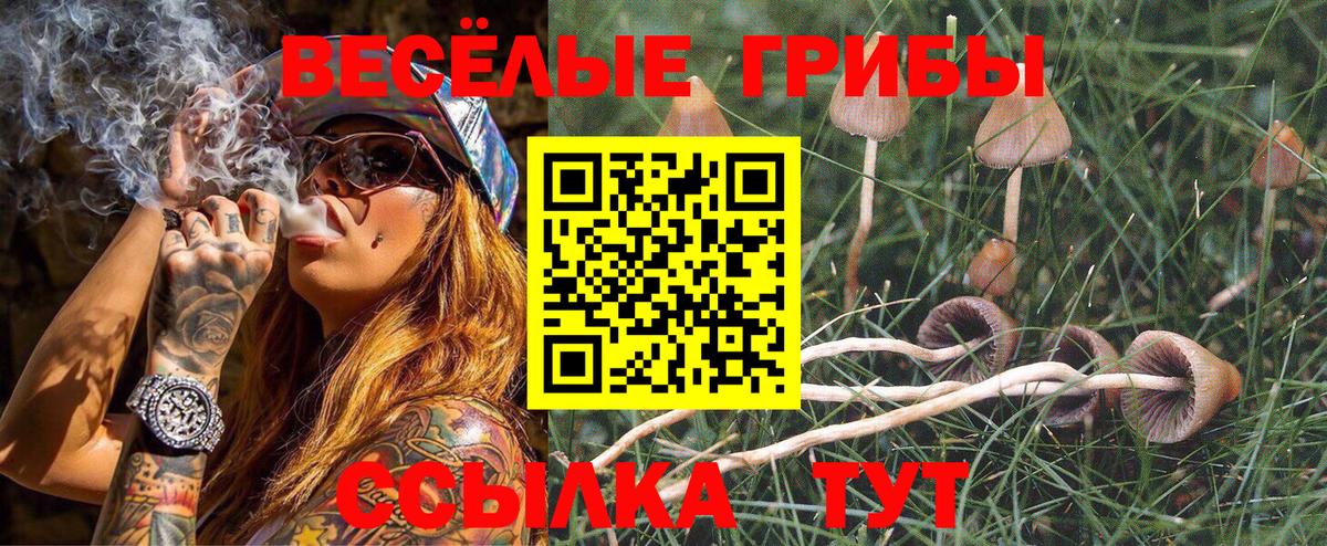 Псилоцибиновые грибы GOLDEN TEACHER Трёхгорный